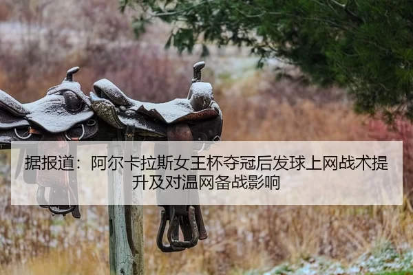 ju-bao-dao-a-er-ka-la-si-nv-wang-bei-duo-guan-hou-fa-qiu-shang-wang-zhan-shu-ti-sheng-ji-dui-wen-wang-bei-zhan-ying-2-662.jpg
