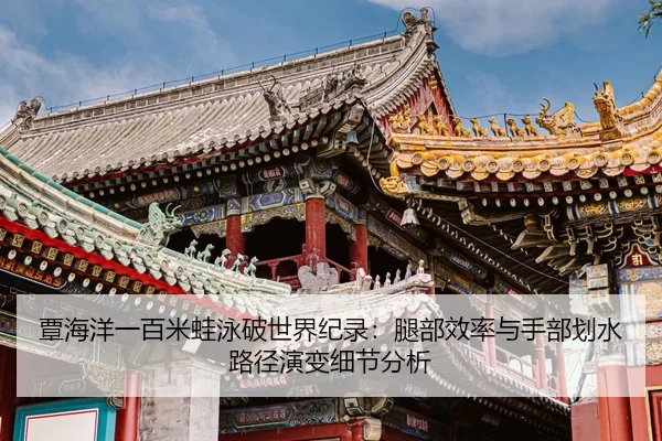 tan-hai-yang-yi-bai-mi-wa-yong-po-shi-jie-ji-lu-tui-bu-xiao-lv-yu-shou-bu-hua-shui-lu-jing-yan-bian-xi-jie-fen-xi-2-364.jpg