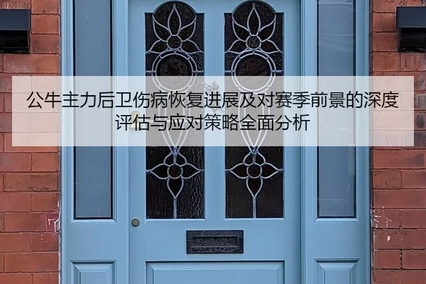 公牛主力后卫伤病恢复进展及对赛季前景的深度评估与应对策略全面分析